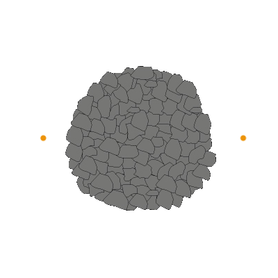 TRUFFE FRAICHE – La ferme de la Truffe
